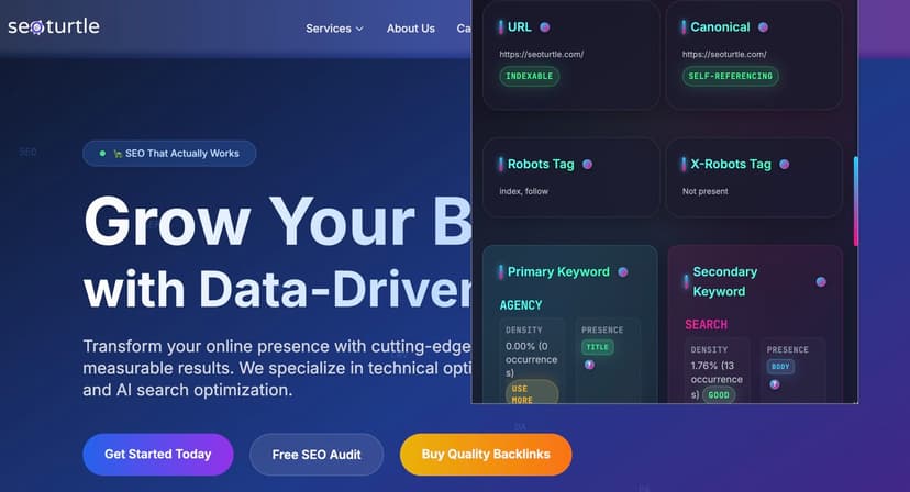 Google SEO Extension Interface