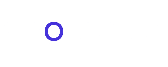 SEO Turtle