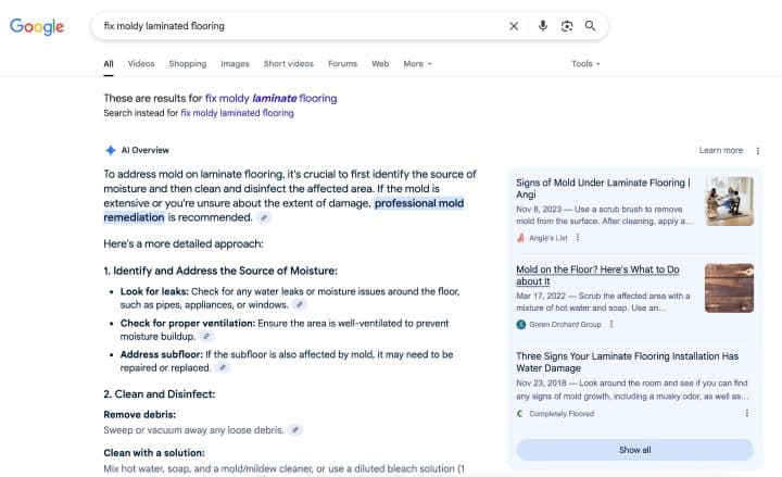 Google AI Overview featuring a local business recommendation