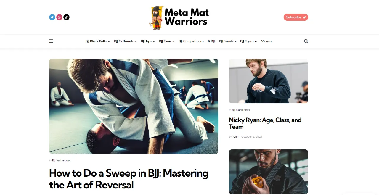 Meta Mat Warriors: Tripling Search Visibility For A BJJ Blog
